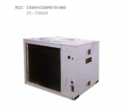 风冷冷水（热泵）模块机组 CXAJ/CGAJ系列